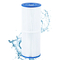 NSF Certified Outdoor Swimming Pool Filter and Indoor SPA Filter Cartridge Filtro De Agua
