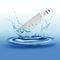Brand Water Filter Jug Purifier Small Capacity Water Bottle Filter in Refrigerator